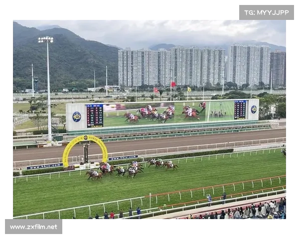 沙田赛事—沙田赛马是干嘛用的